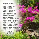 뒤뜰