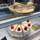 [원주/단계동] 원주종합터미널의 베이커리 맛집 어몽더브레드 (among the bread)
