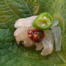 (참)통골뱅이