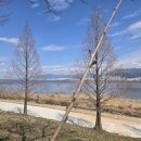 경전철대사역 이미지