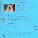 토리153 이미지