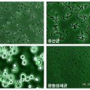 농업기술센터 농업미생물관 이미지