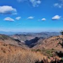 한우사랑(2) 이미지