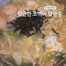 김치비 | 인사동 얼큰한 조벡이 수제비 감자칼국수 김치전 후기 | 비 오는 날 더 잘 어울렸던 한 끼
