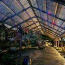 함평엑스포공원 이미지