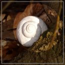 젊은이들잡화점 이미지