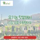 미예뜰유치원 - 남양주시 | 미예뜰유치원