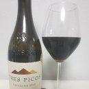 [길2의 와인노트] 33. 트레스 피코스 Tres Picos Garnacha 2020