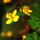 풍경하루 이미지