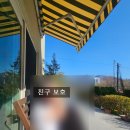아뜰리에멍 | 거제 프라이빗 펜션 [정원이있는아뜰리에] 단체방문 강추 날씨 좋을 때 가야하는 곳