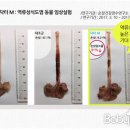 (주)옥샘코리아 베이비뉴스