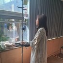 Wiz(위즈)당구클럽 | 급 복강경 수술 후기 (ft. 난소혹,수술정보)