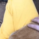 D00884 이미지