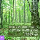 아토피·고혈압·우울증·스트레스 등 건강회복과 치유를 숲에서! '산림치유' 이미지