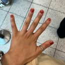 가나호스텔 | 워홀🇬🇧🇳🇱 드디어 첫 홀리데이를 가다!🌷 2박3일 암스테르담(1) (클링크노르드 호스텔/잔세스칸스 당일치기)