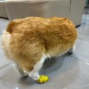 나은메디칼 이미지