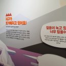 탄소제로교육관 전시실 이미지
