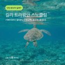 거북이 | 길리 트라왕안 거북이 포인트 스노클링 후기｜거북이 실제로 본 곳 총정리