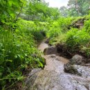 시냇물공원 이미지