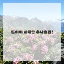 이건한의원 이미지