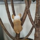 김희준가정의학과의원 이미지