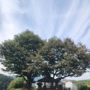 외장포경로당 이미지