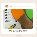 평발 족저근막염 깔창 맞춤형 조립인솔 후기