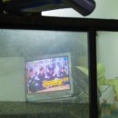 번개식당 이미지