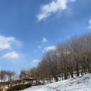 달리는커피시흥대야점 이미지