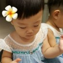 수아