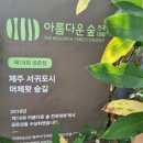 모다들엉여행사 이미지