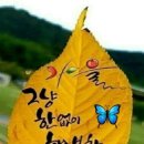 창곡천 이미지