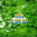 동자승/어떤 선택-원없이 살자 이미지