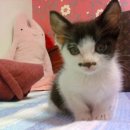 중2동-27 이미지