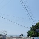 sk민박 이미지