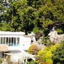 쉐이리코타키나 이미지