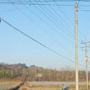 평수농장 이미지