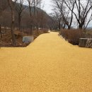 이디씨라이프(주)