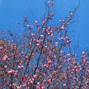 주암댐 전망대 이미지