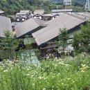 니지라멘 - 종로구 대학로1길 34 | 니지라멘