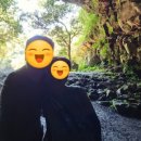 성읍녹차마을영농조합법인 | 제주살이 2일차 성읍민속마을, 성읍 녹차마을, 비밀동굴, 올레길