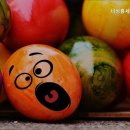세아정 네이버블로그