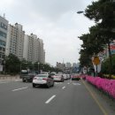 경기도 수원시 영통구 매탄로 이미지