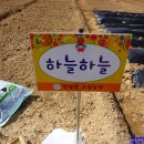 계룡농장 이미지