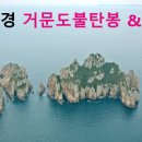 충일투어 Daum카페