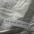섬이보인다