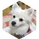 봉이