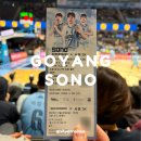 소노아레나 1층 R석 시야 직관 후기 고양소노 vs 서울SK