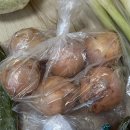 천원의행복 | 식명관 천원의행복 내돈내산 후기 추천인 꿀팁 공유