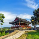 소나무가 있는 풍경 이미지